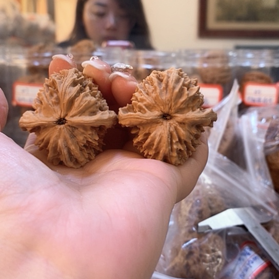 文玩核桃吊坠40仙人球