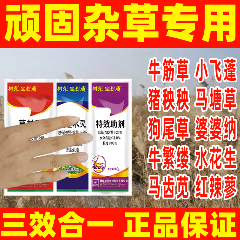【顽固杂草专用】芦苇牛筋草马唐草狗尾草专用清理套装喷雾使用室外