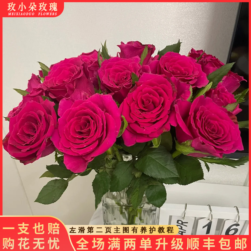 【北方玫小朵玫瑰&高盛】花期持久 产地直发 顺丰包邮