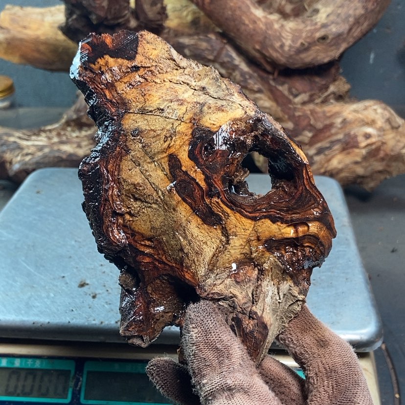 【闪购商品】黄花梨/降香黄檀朋*