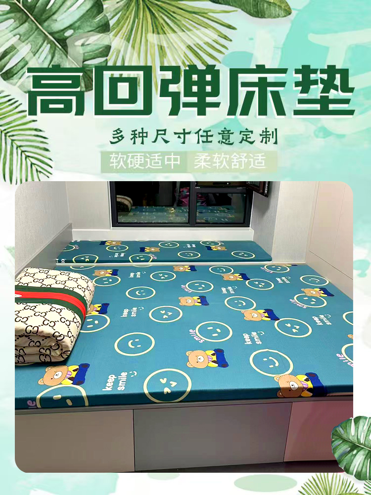 回弹棉床垫炕垫软硬适中高密度不塌陷不变形榻榻米床垫子定制