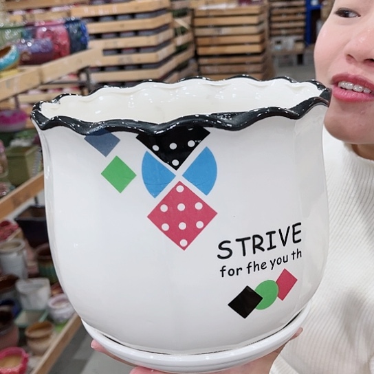 红陶花盆直播间价格的价格