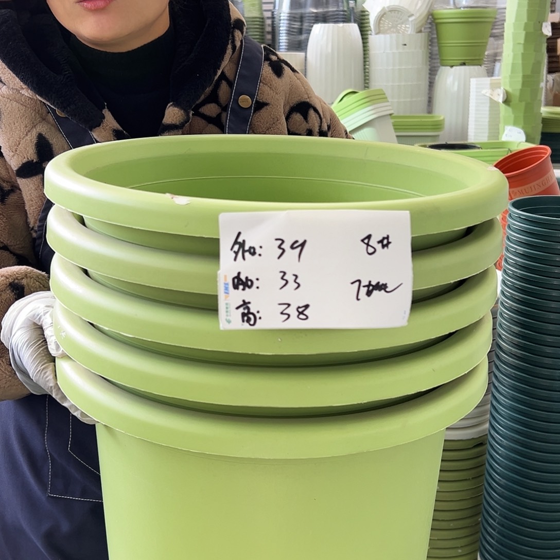 四季盆8#果绿色5个无托