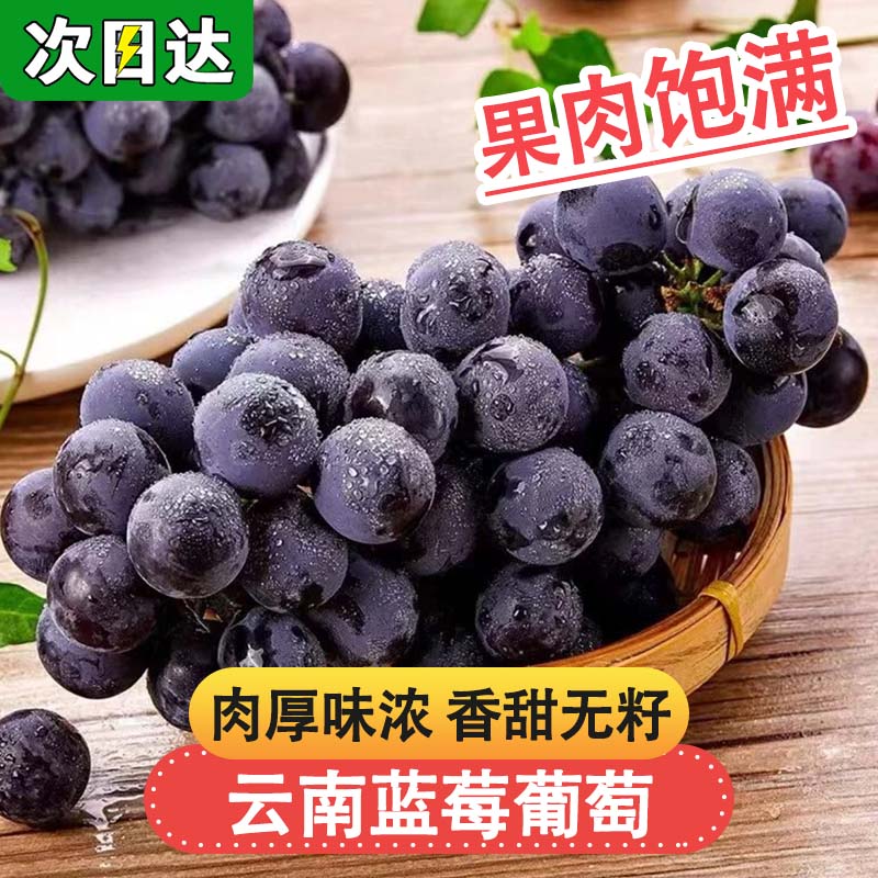 明日达【基地溯源直采】TY正宗云南蓝莓葡萄香甜多汁无籽葡萄当季鲜果3斤云南省