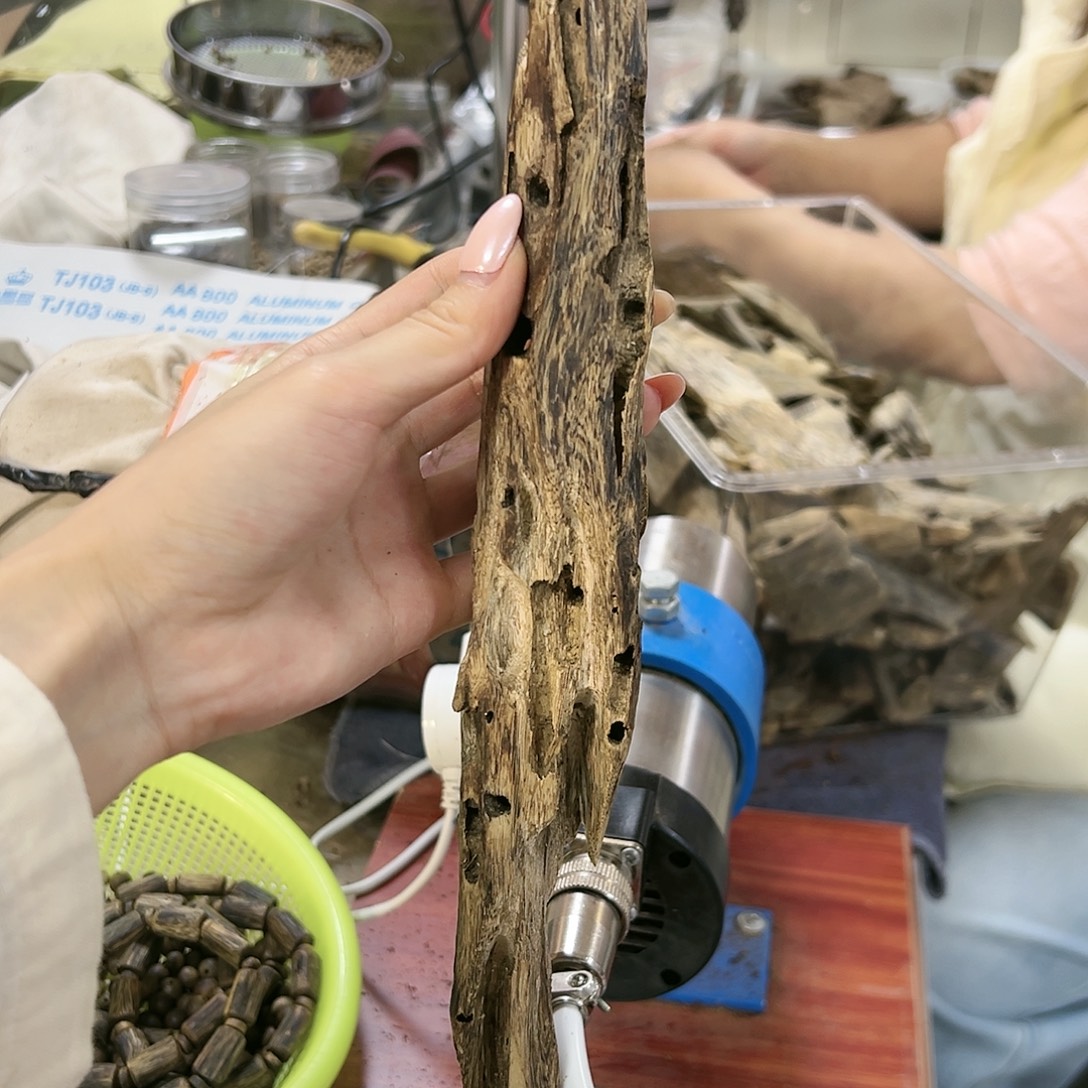 线香74克加虫漏原材料