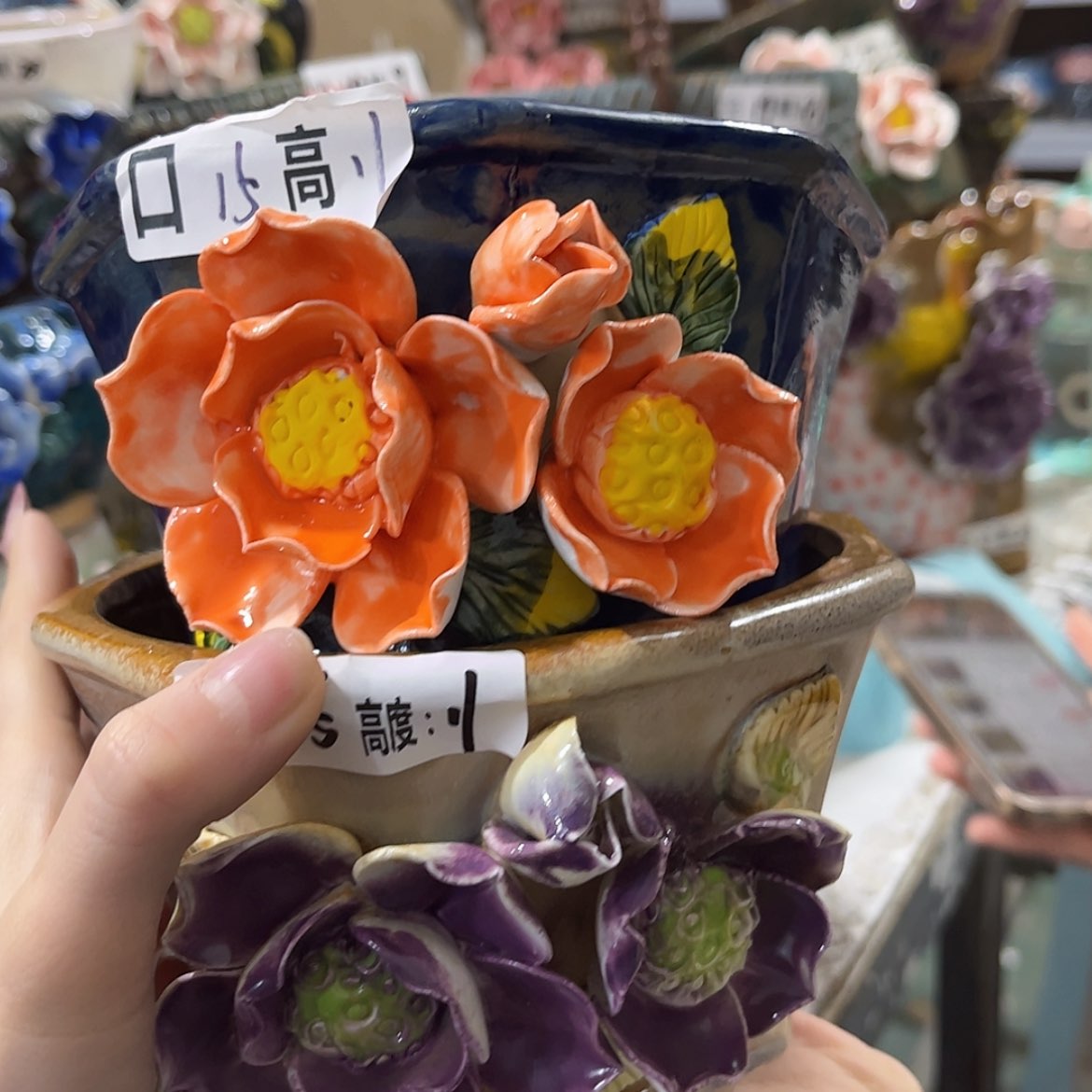 【闪购商品】红陶福利