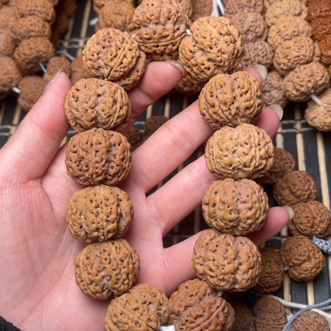 菩提文****?尼泊尔大金刚梁梅花28