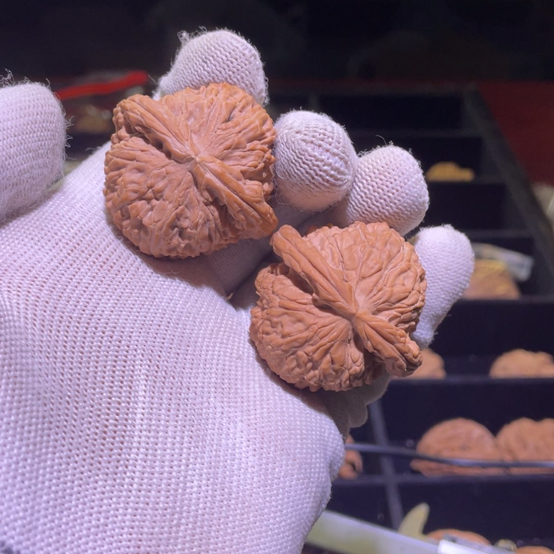 文玩核桃把件球白 427