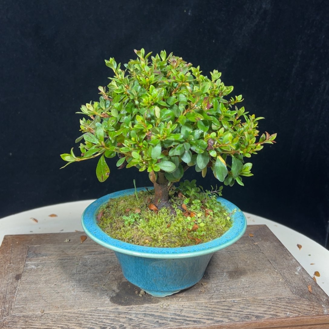 t***j完全开放1111111111111