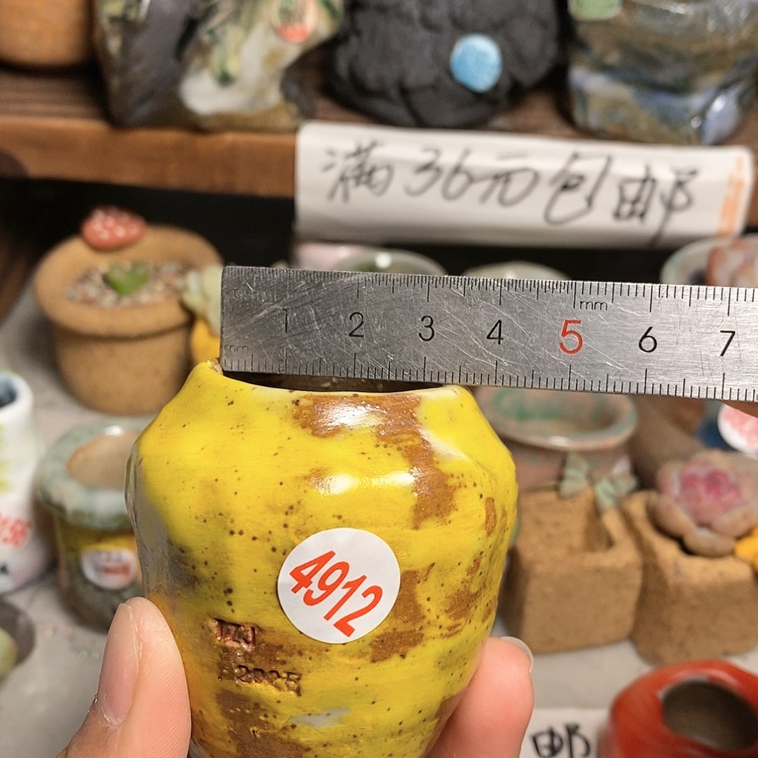 红陶拍5送一个小