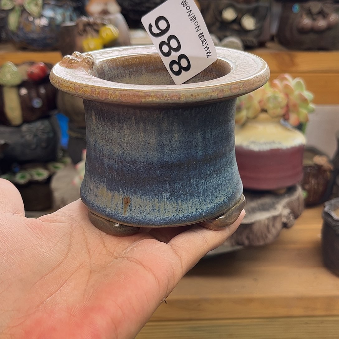 你的世界有这么可爱呀886