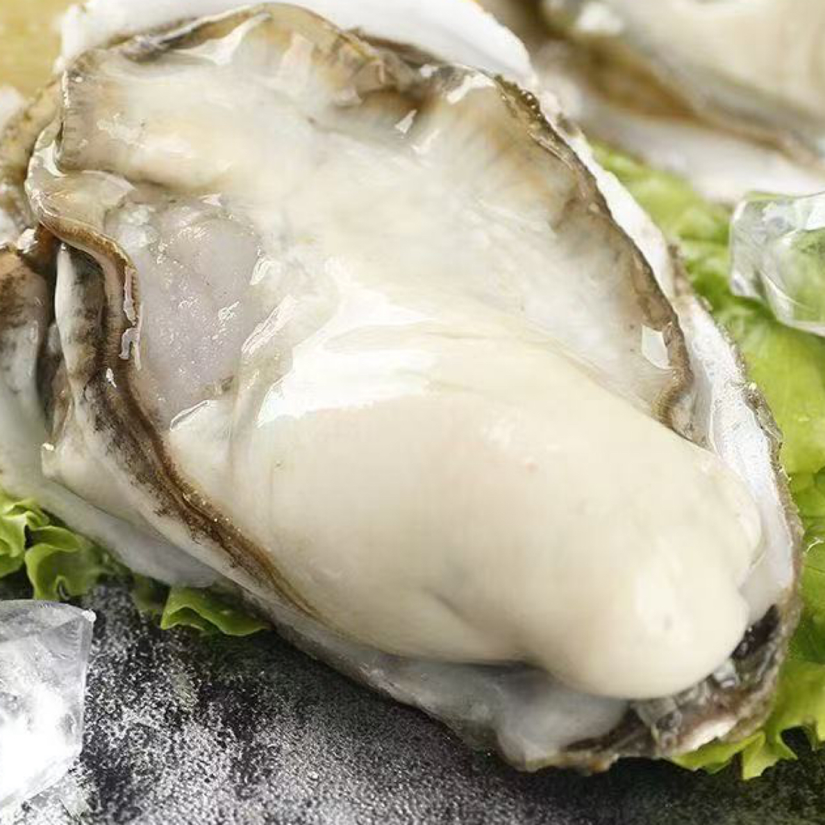【4-5】10斤3-4两生蚝鲜活牡蛎新鲜超大特大肉海蛎子带箱海鲜刺身