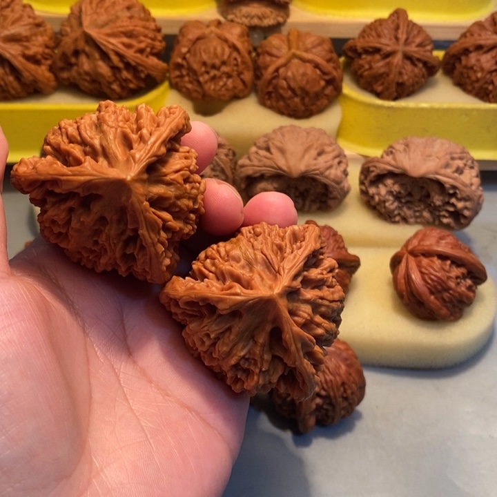 生***人把件文玩核桃Hhhgggggg