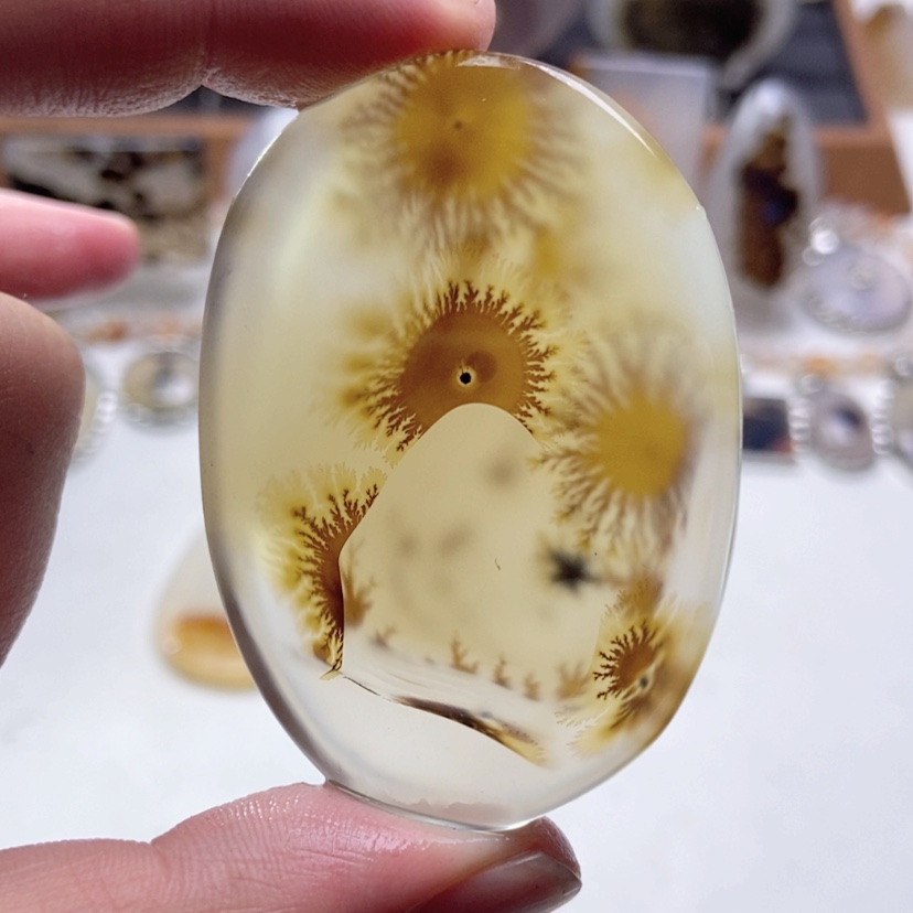 【闪购商品】玛瑙/玉髓颈饰未镶嵌