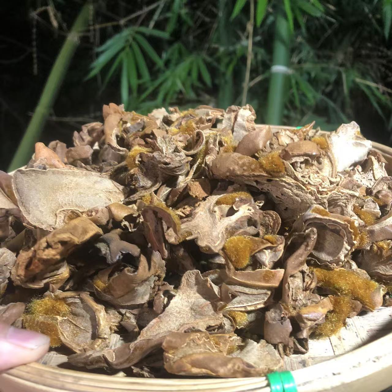 1【金-丝-蕨-菇】净含量250g-1000g【金金现收】