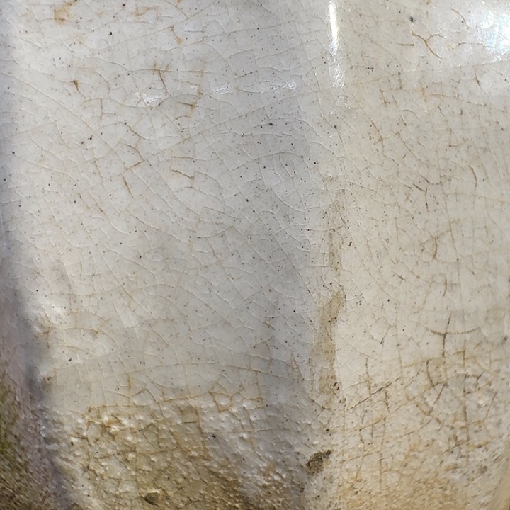 火***鸟瓷片66666888888888888