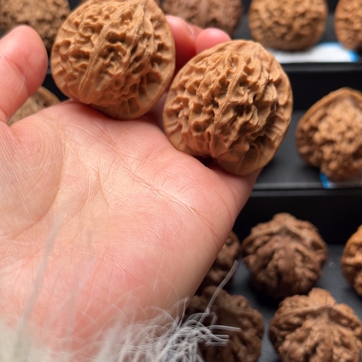 核桃秦岭野生秦公子