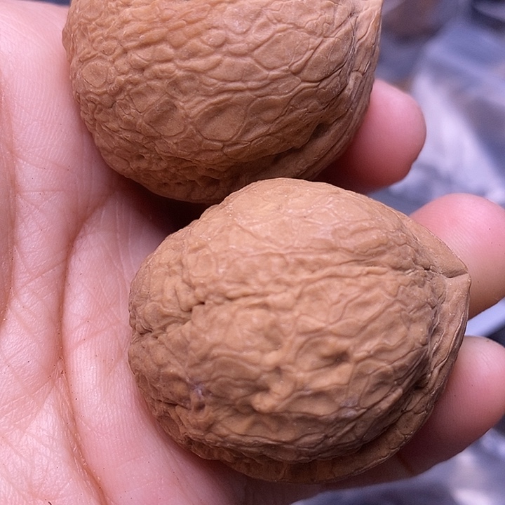 把件文玩核桃  68