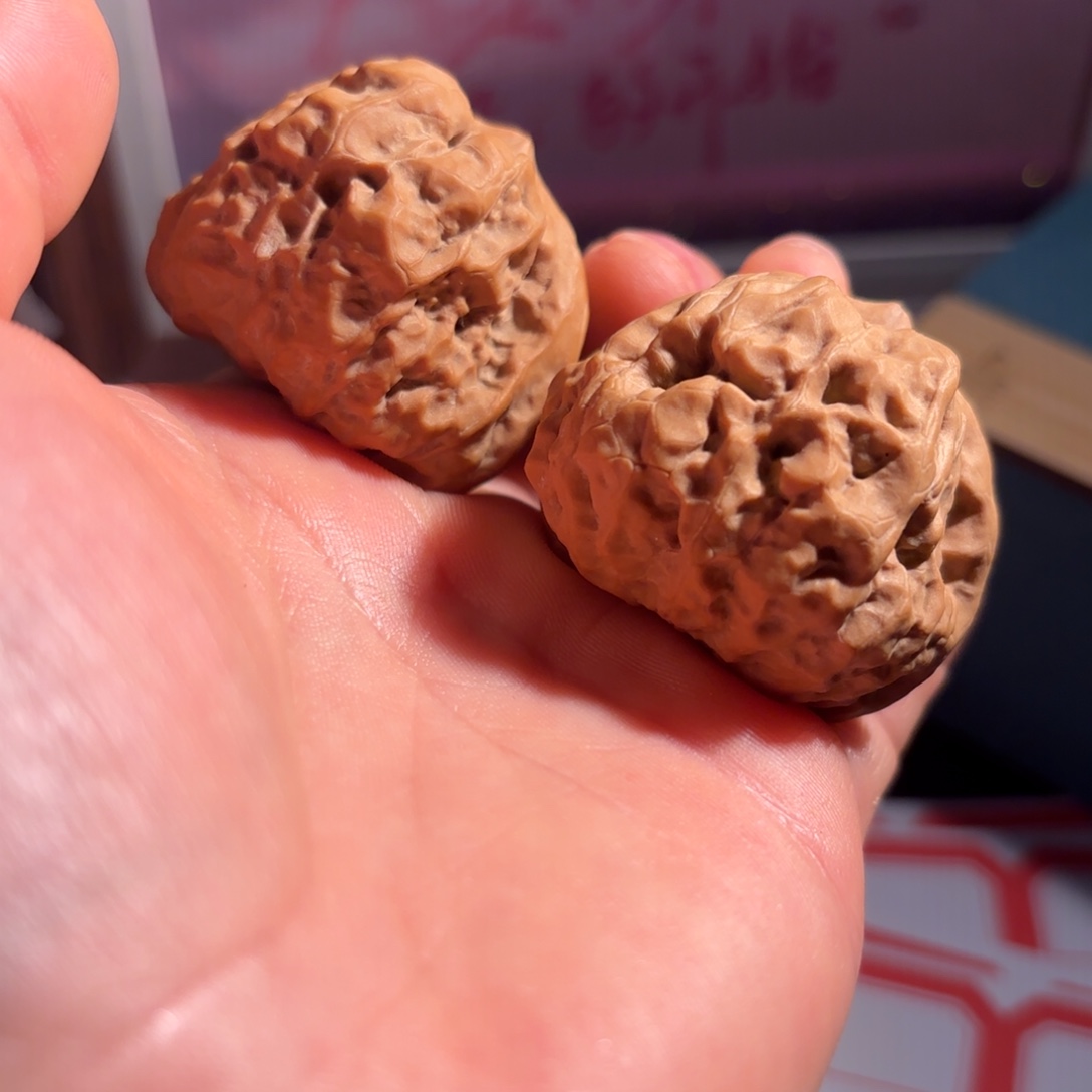 万***️核桃蜡皮蛤蟆头山地果