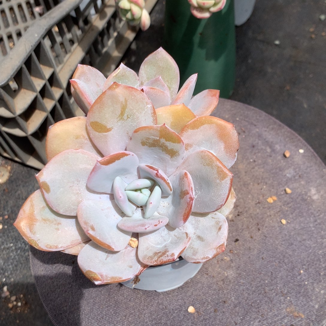 人工增水系统在国内已经应用