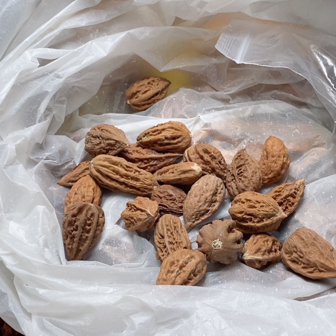 文玩核桃吊坠核桃21