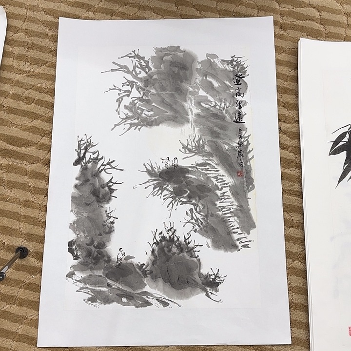 国画花鸟的翅膀是白色和70.45