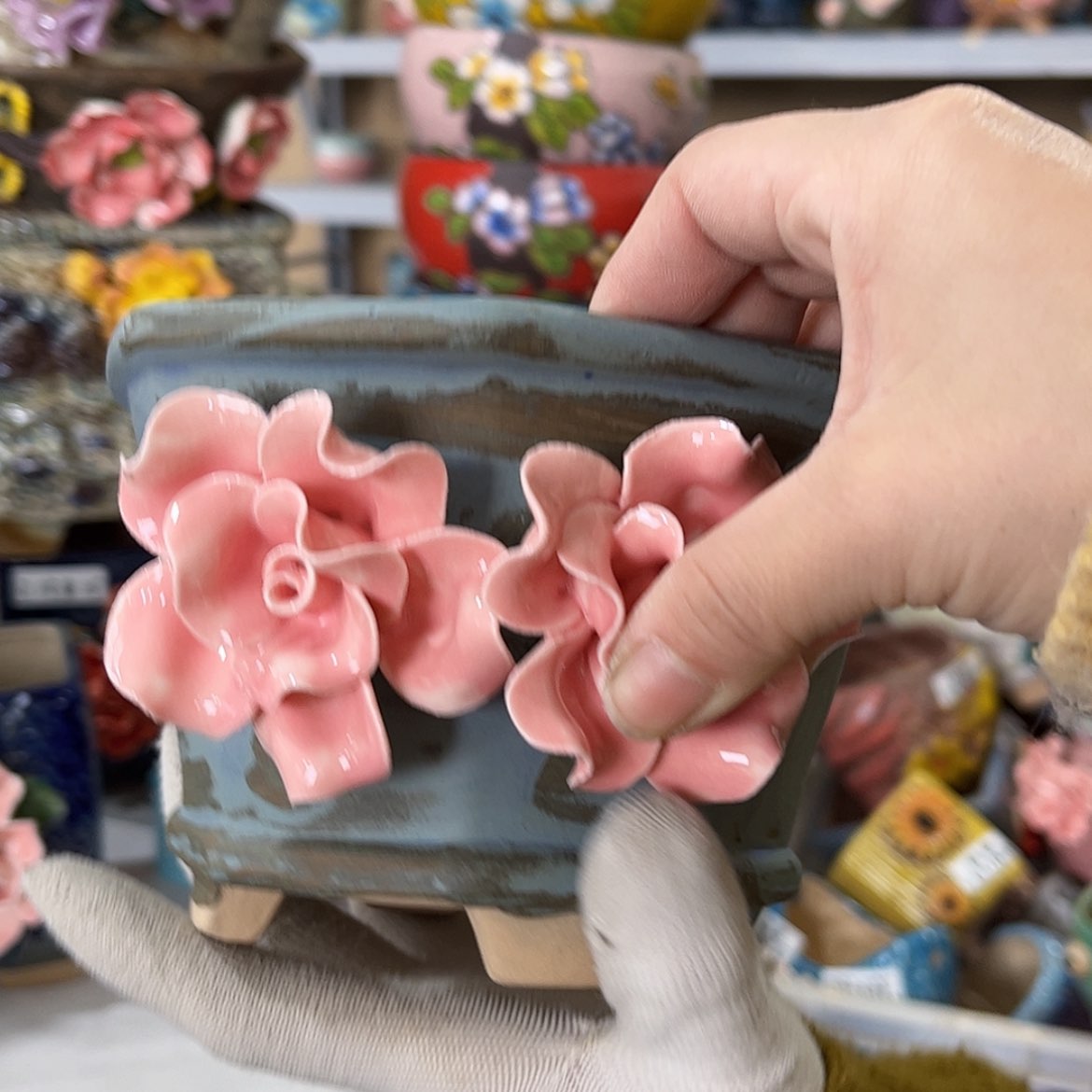 【闪购商品】红陶福利