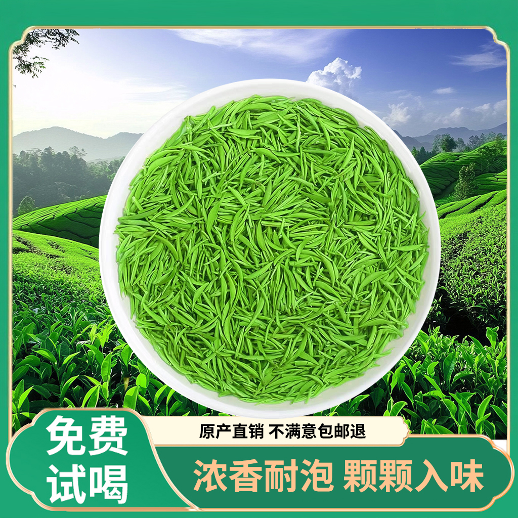 【买半斤送半斤】绿茶毛尖茶2025新茶浓香毛尖绿茶雀舌茶叶