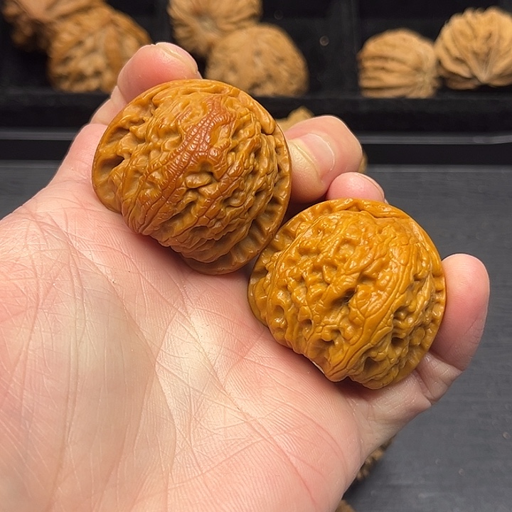 木质类突突突突突突突