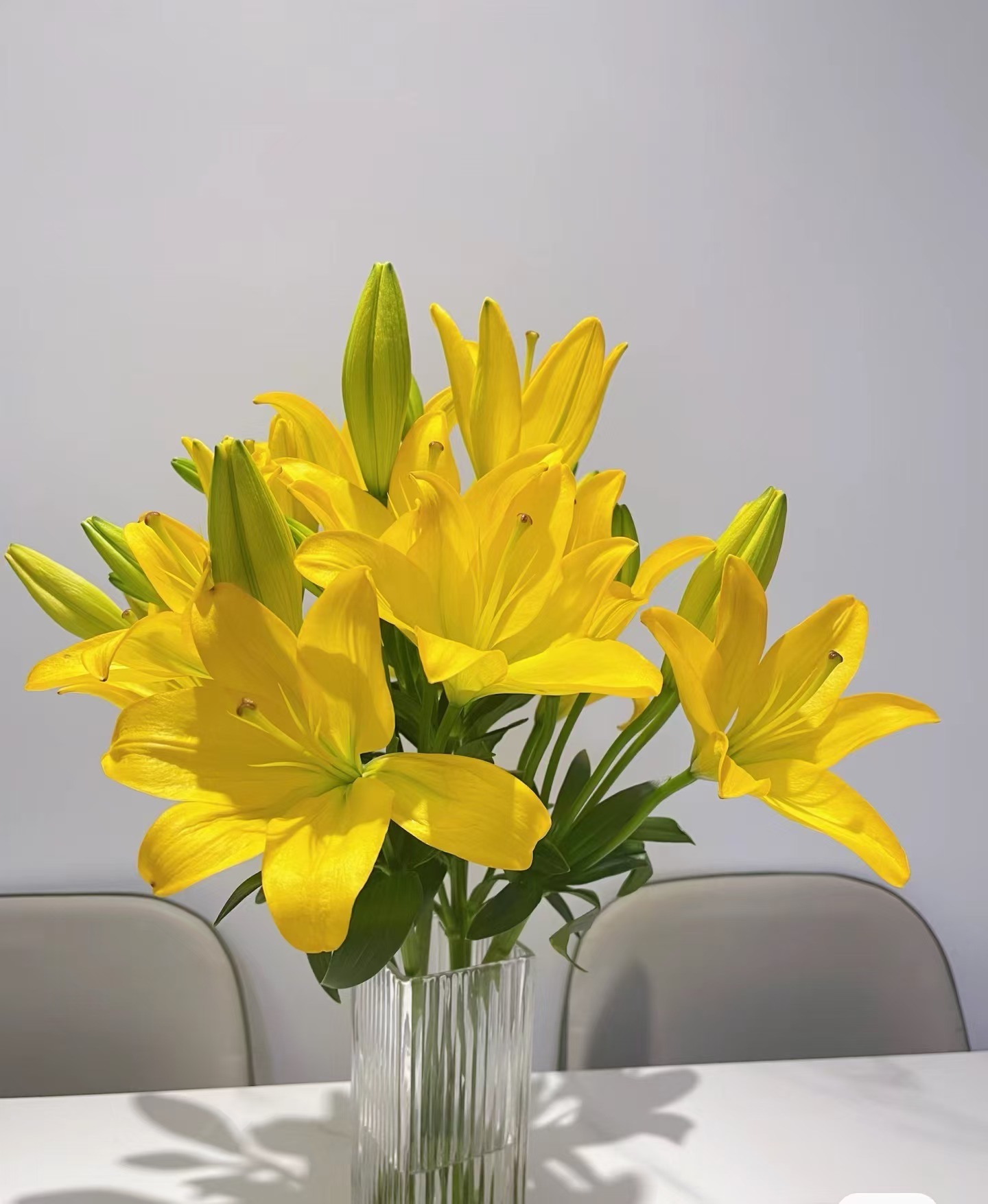 小金严选 AA级  黄色烈焰  单瓣香水百合（金黄色 浓香型）