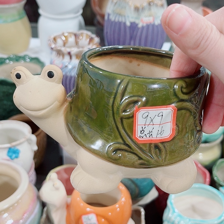 多肉花盆满10元包邮