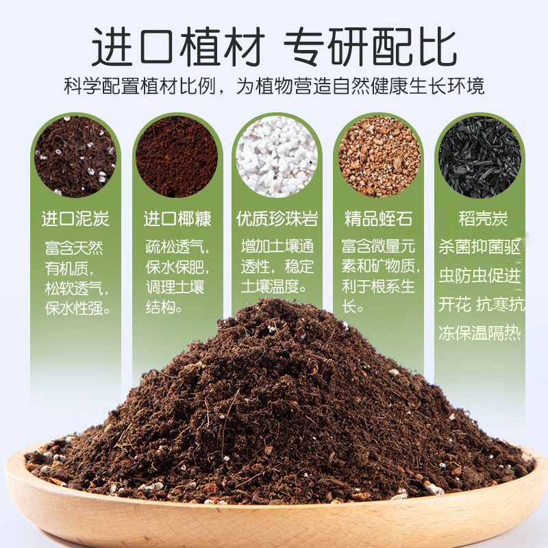 泥炭营养土通用型养花种菜育苗多肉绿植有机种植土壤