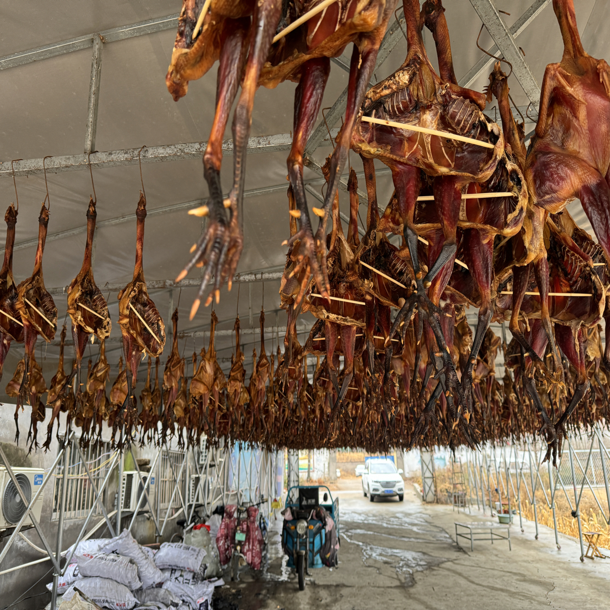武小二风干鸡  风味独特 农家笨鸡风味食品下酒菜