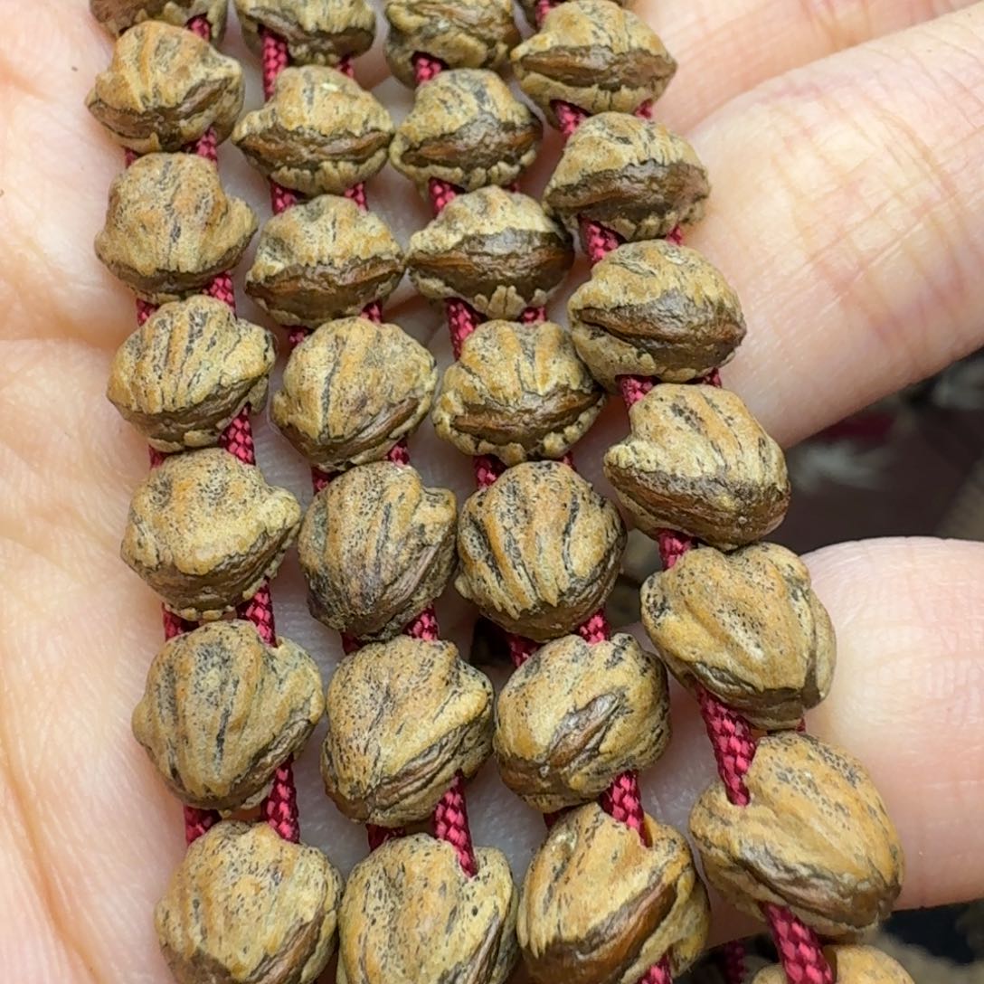 手串柏香籽/百香籽蛇骨红芽