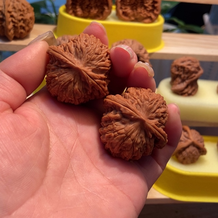 官方网站发布消息