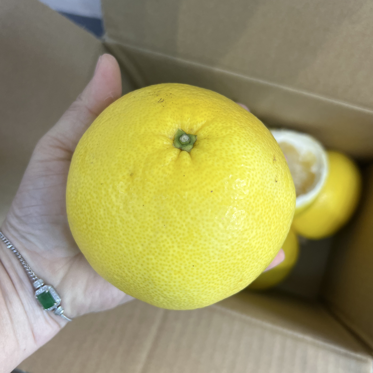 犀利姐推荐源头直发精品葡萄柚