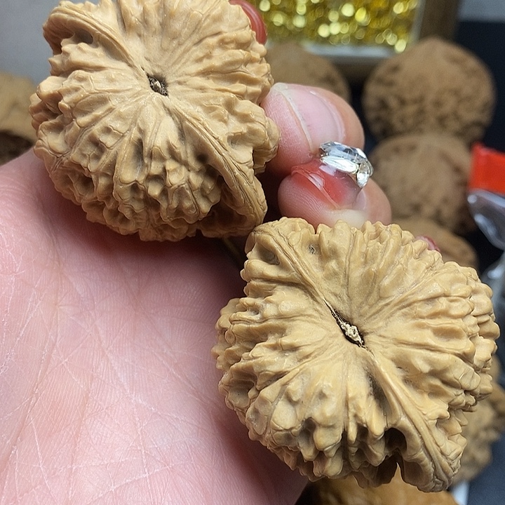 u***6大叶紫檀（黑酸枝木类）官安东