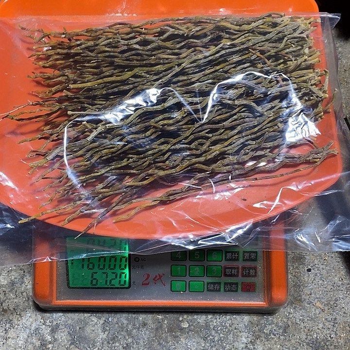 顺***亿云南高山乌天麻中国大陆