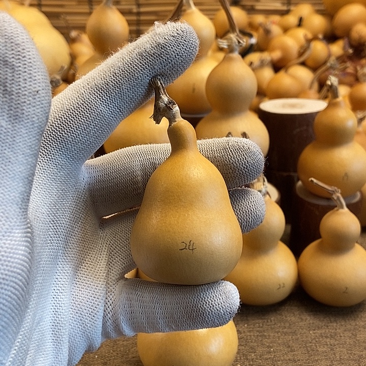 文玩葫芦 完美主义者 慎拍24