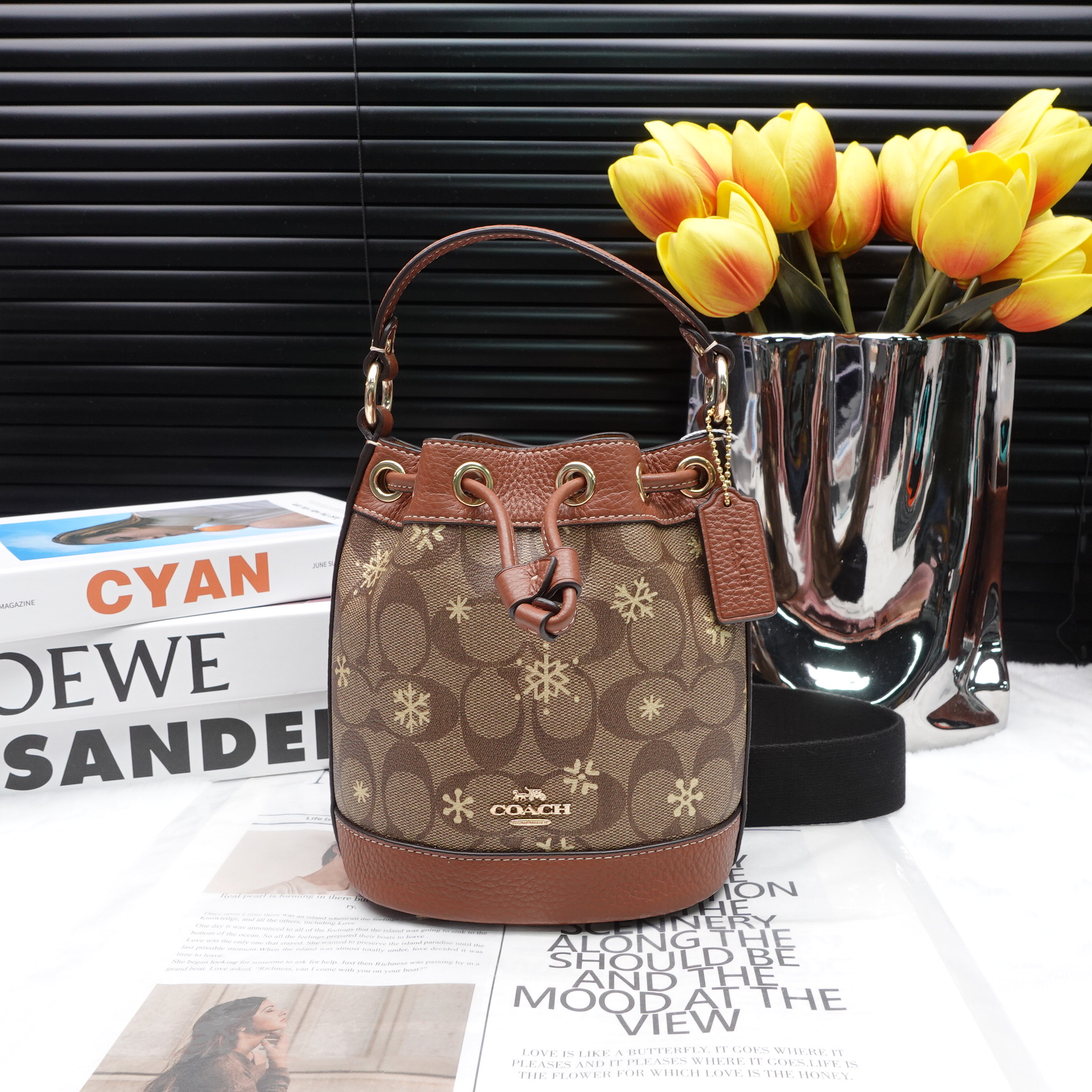 95新 COACH/蔻驰 单肩包/T10214119