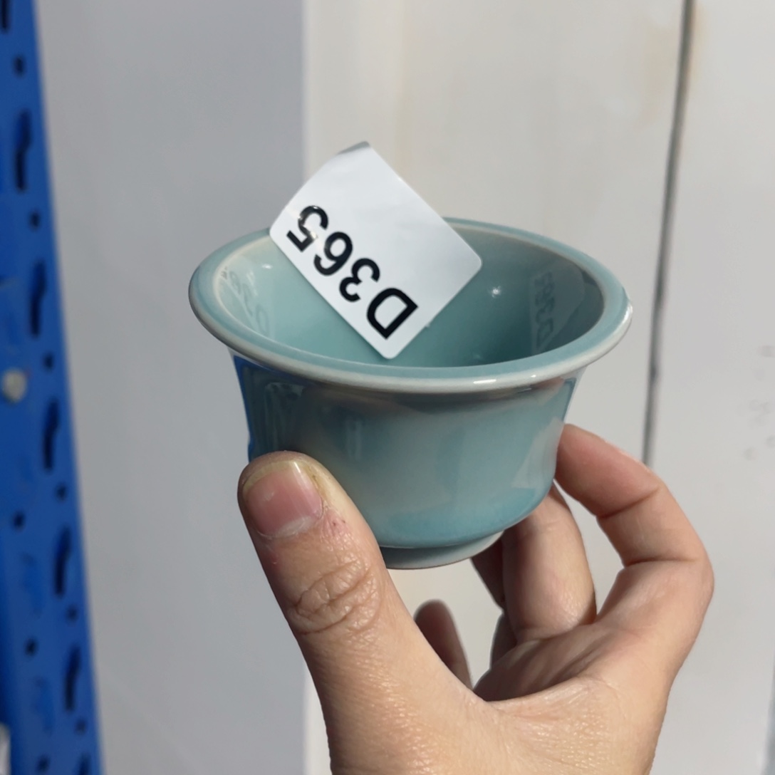 瓷片哈哈哈哈h h h h