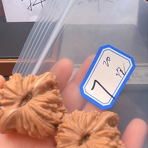 文玩核桃吊坠泡**饨楼