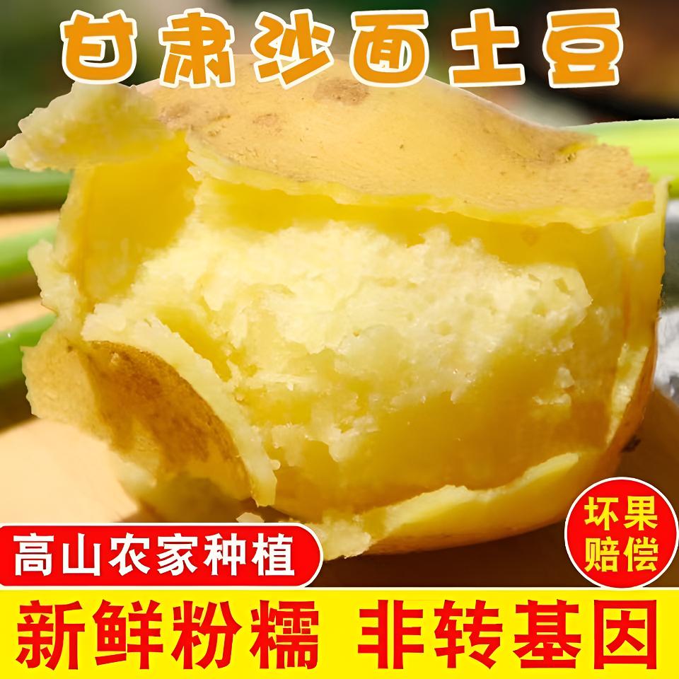 甘肃定西马铃薯老品种土豆粗皮黄心粉糯沙面土豆洋芋现挖现发土豆