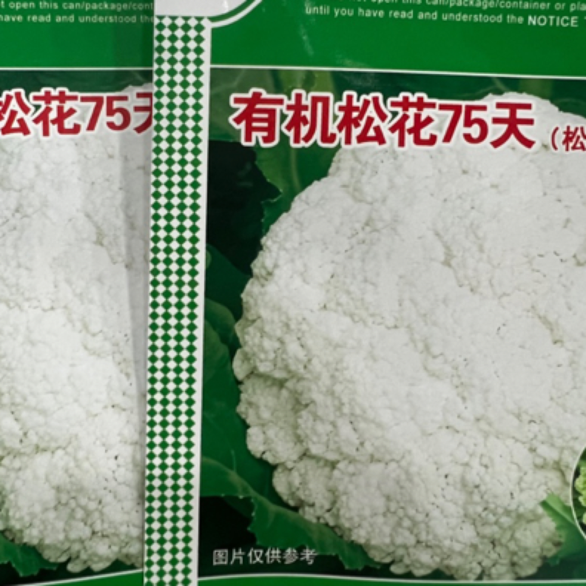 青梗有机松花菜种子2袋