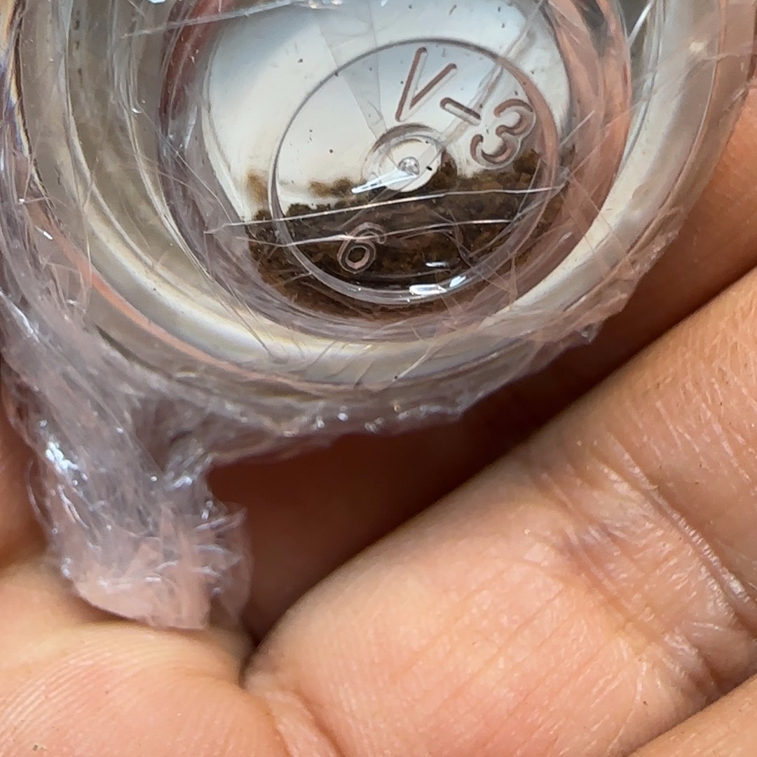 沉香碎屑沉香广义土熟绿棋沉水粉1份