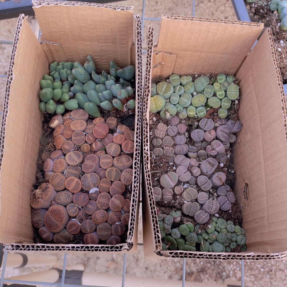 一箱拼箱888888888888