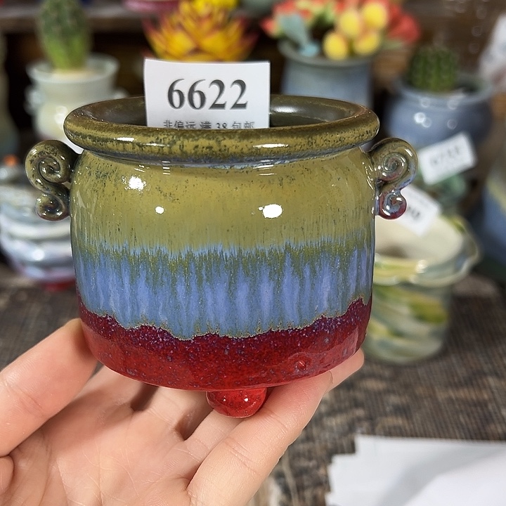 口6.5高6.5 未满30元运费到付