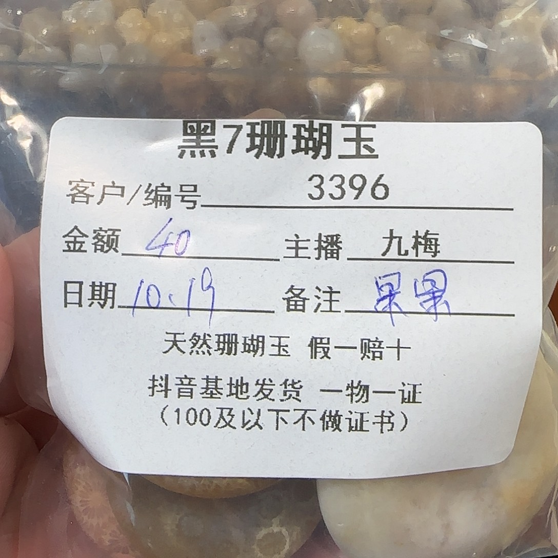 果***果硅化玉未镶嵌颈饰