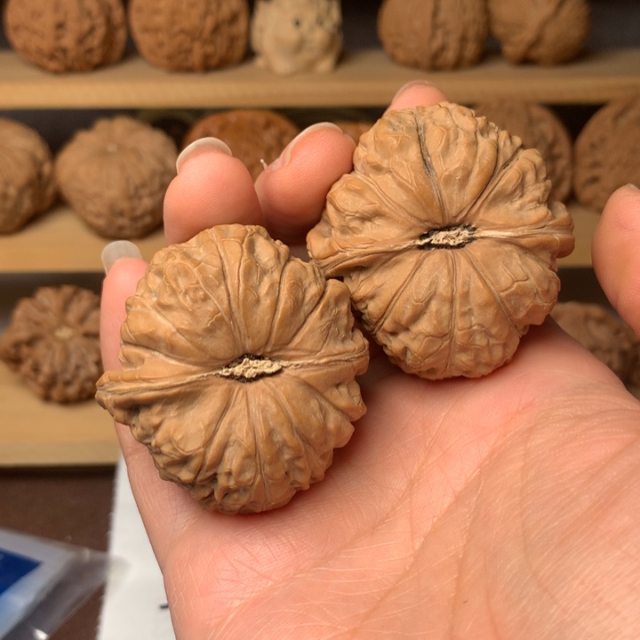 ****圈南瓜26元两盒共四瓶只要