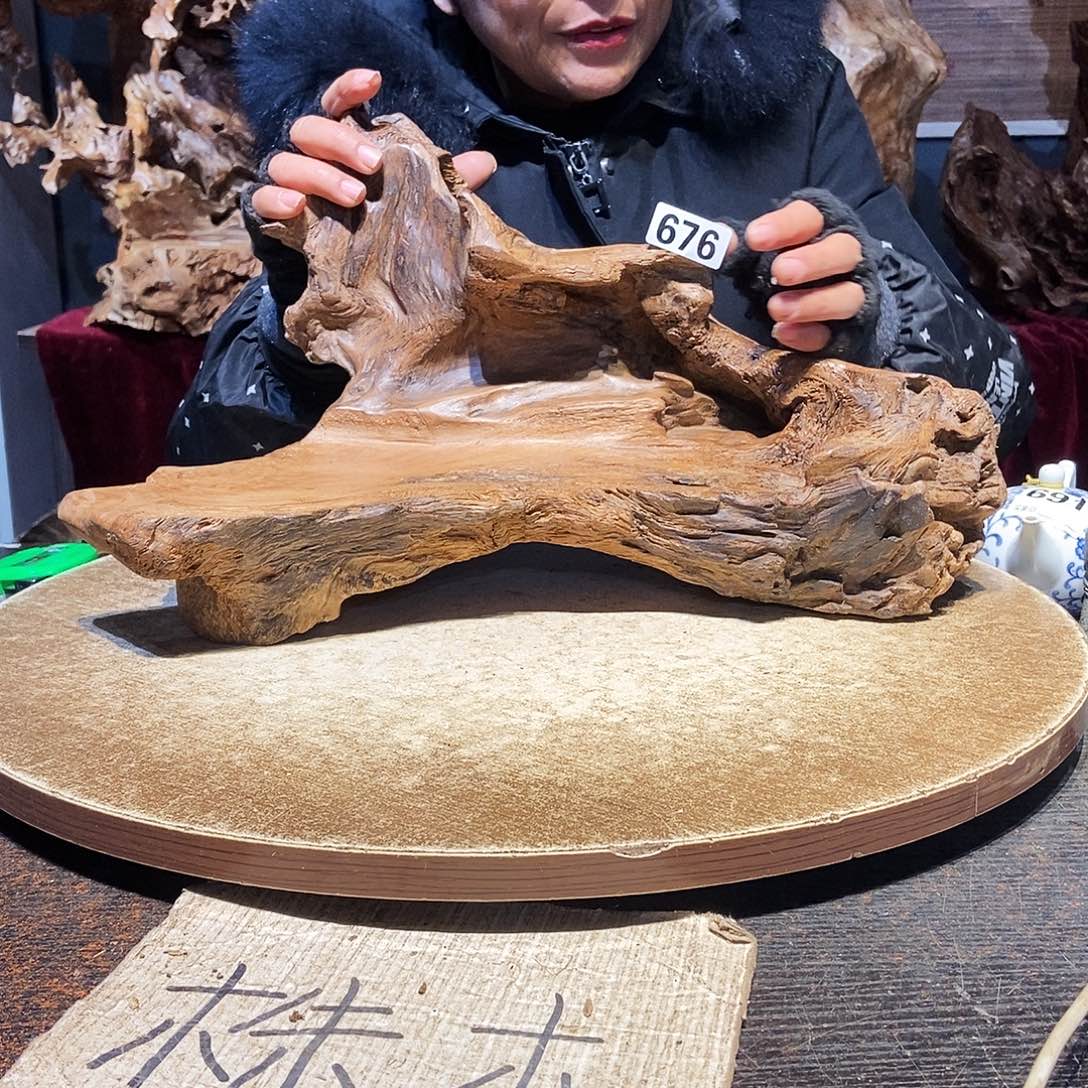 芬***儿676。株木随行根艺
